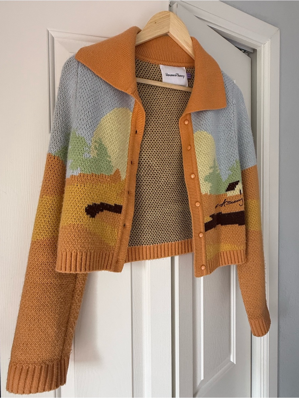 House Of Sunny Cardigan Daytripper Vol 1 4 - Picture 1 of 9